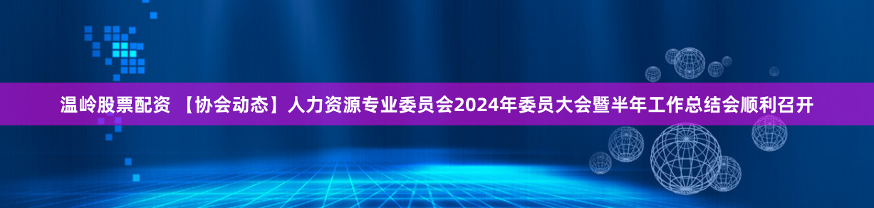 温岭股票配资 【协会动态】人力资源专业委员会2024年委员大会暨半年工作总结会顺利召开
