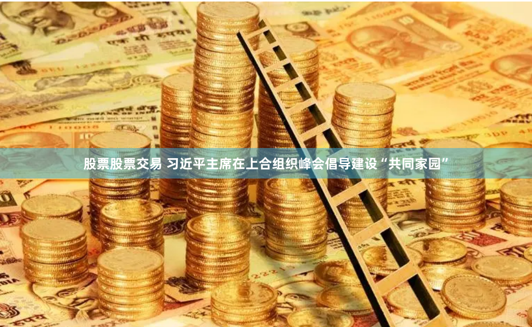 股票股票交易 习近平主席在上合组织峰会倡导建设“共同家园”