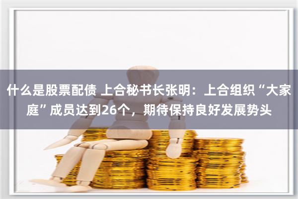 什么是股票配债 上合秘书长张明：上合组织“大家庭”成员达到26个，期待保持良好发展势头