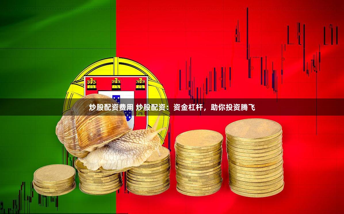 炒股配资费用 炒股配资：资金杠杆，助你投资腾飞