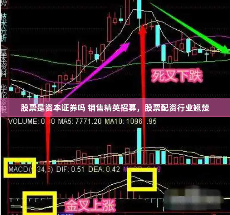 股票是资本证券吗 销售精英招募，股票配资行业翘楚