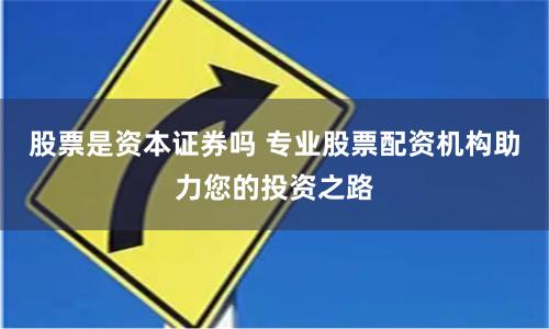 股票是资本证券吗 专业股票配资机构助力您的投资之路