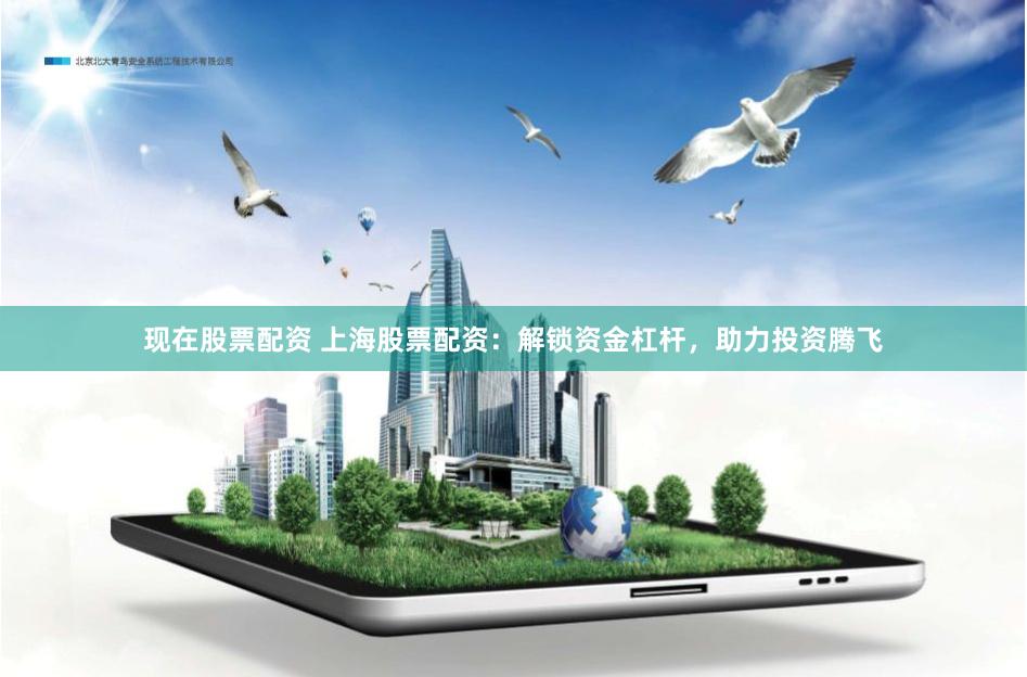 现在股票配资 上海股票配资：解锁资金杠杆，助力投资腾飞