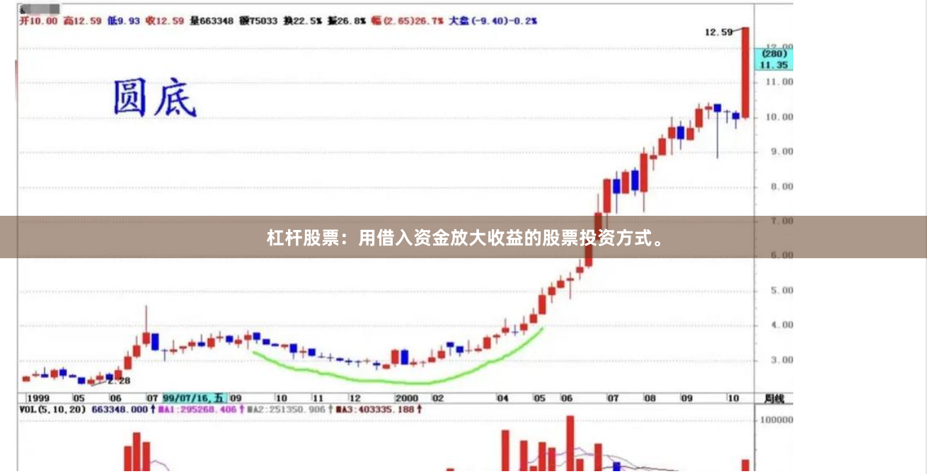 杠杆股票：用借入资金放大收益的股票投资方式。
