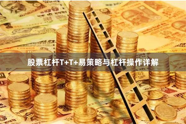 股票杠杆T+T+易策略与杠杆操作详解