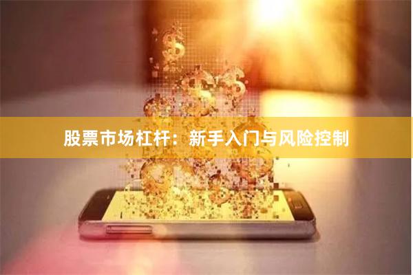 股票市场杠杆：新手入门与风险控制