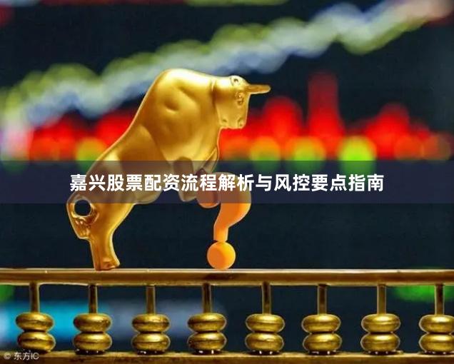 嘉兴股票配资流程解析与风控要点指南